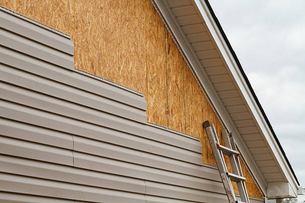 Professional Siding Repair technician working in Skokie, IL